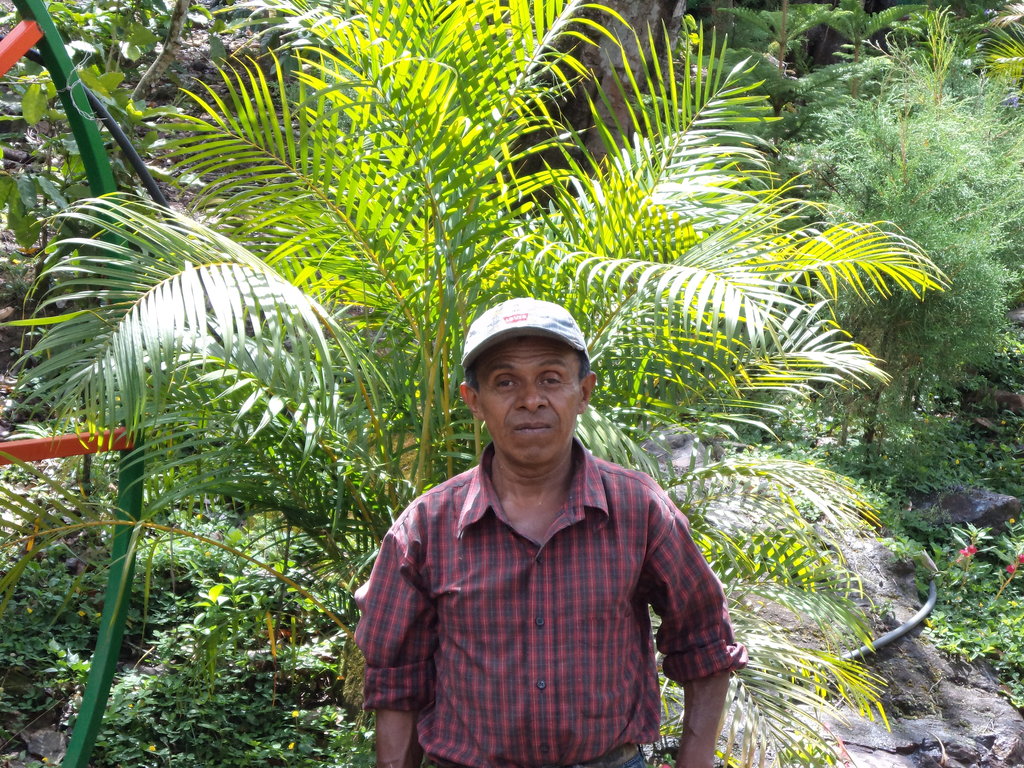 Forging links for 5k farmers in Peru & Nicaragua
