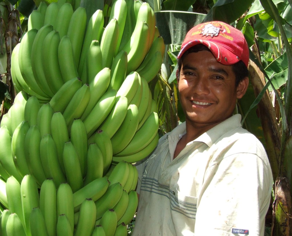Forging links for 5k farmers in Peru & Nicaragua