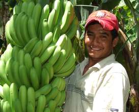 Forging links for 5k farmers in Peru & Nicaragua