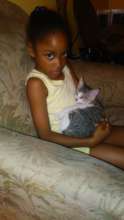 Hermoine Kitten - now named 'Cher' with her buddy