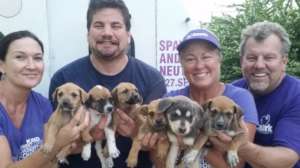 Rescuing puppies goes hand in hand with Clinics