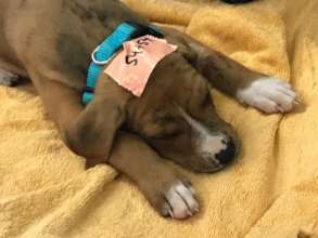 Recovering