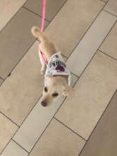 Nellie - confident and loving