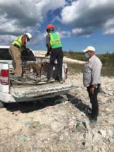 Dump work