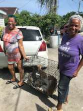 Diane and cats going home