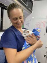 Dr. Jenn with a Kitten