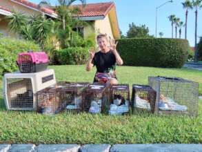 Treasure Cove cat trapping