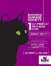 Advertising our Free Cat Spay/Neuter Clinic