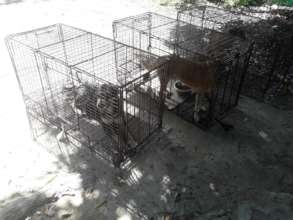 Our traps work really well!