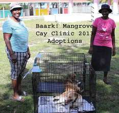 Mangrove Cay Clinic Adoptions
