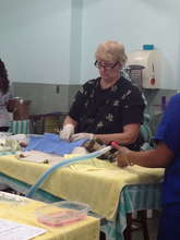 Cat neutering is a extremely quick easy surgery