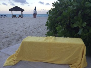 Covered and ready to go