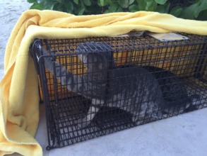 Let me out !