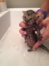 Bath Time