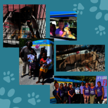 Mangrove Cay Clinic