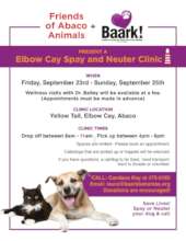 Hope Town Clinic Flyer