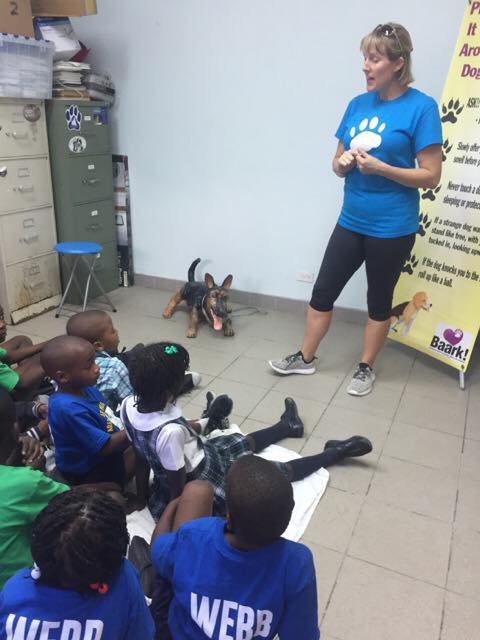 Reports on Spay/Neuter 1,000 Stray Dogs & Cats in The ... Reports on Spay/Neuter 1,000 Stray Dogs & Cats in The ...