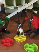 Petting in the cat enclosure