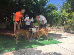 Loved Adelaide Dogs