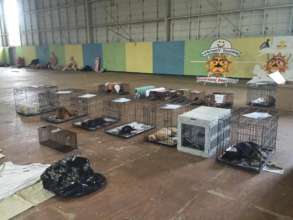 Hall being used for the Andros clinic