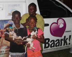 2 lucky pups from the clinic getting a new home