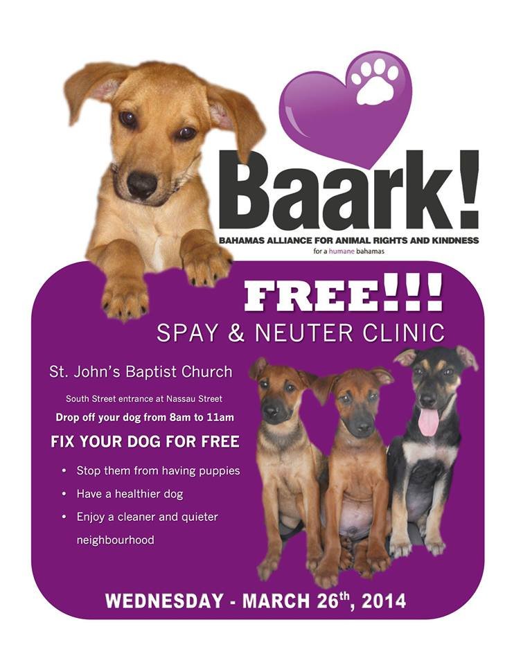 Free Spay And Neuter Clinics For Dogs