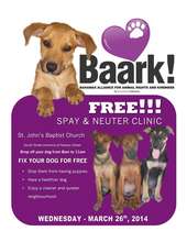 Poster for a free spay/neuter clinic