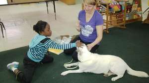 Learning to love animals !