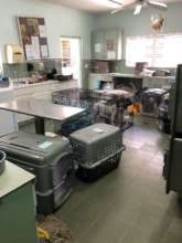 Clinic setup