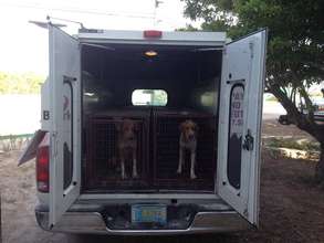 Inagua spay/neuter clinic