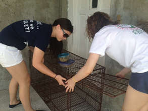 St. Andrew's Students setting a trap