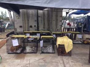 Spay/Neuter at the Nassau Landfill