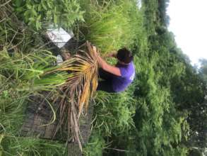 Lissa setting a Trap at the South Andros Dump