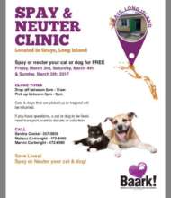 Poster advertising The Long Island Clinic