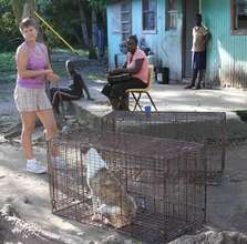 No more puppies for this Momma dog