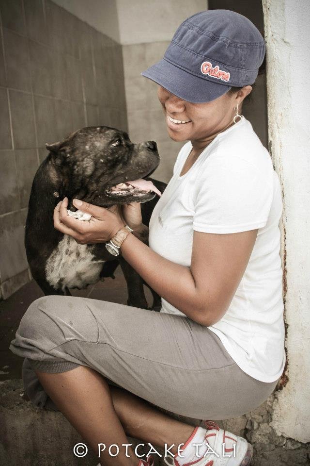 Reports on Spay/Neuter 1,000 Stray Dogs & Cats in The ... Reports on Spay/Neuter 1,000 Stray Dogs & Cats in The ...