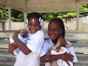 Our educational summer camps
