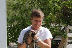 San Salvador - Friendly cat coming in for spay
