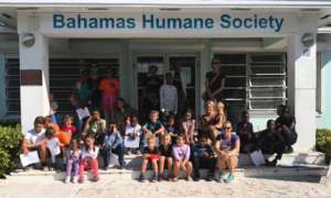 Education day at the Bahamas Humane Society