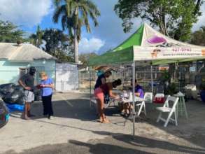 Clinic in Action