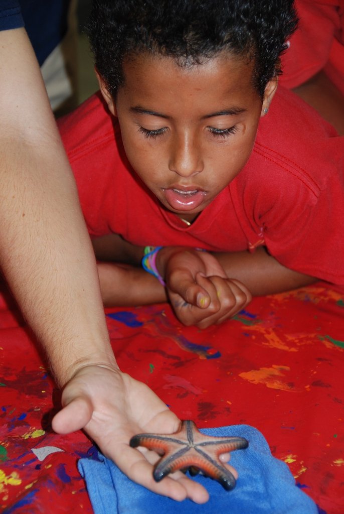 Teach 40 kids in Miami to be Responsible Anglers