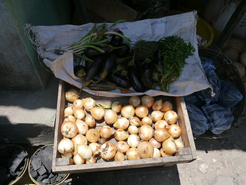 Create opportunities for families in Haiti!