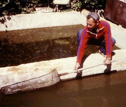 Income & Food Boosts From Fish-Farming in Jordan