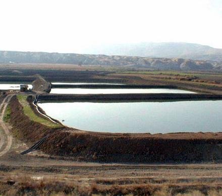 Income & Food Boosts From Fish-Farming in Jordan