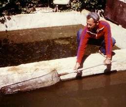 May Look Simple But....