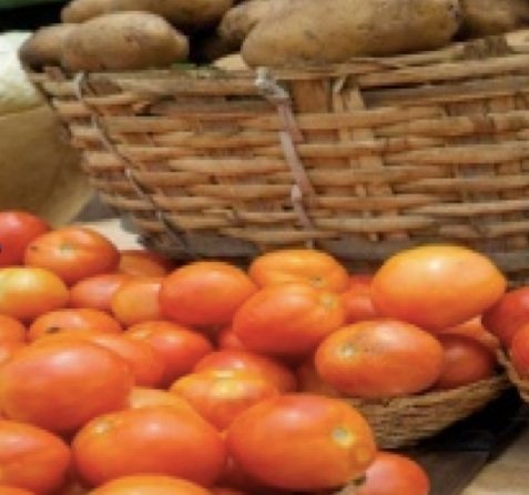 Gao tomatoe harvest 2013