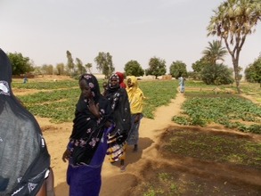 Gao vegetable garden with water pump