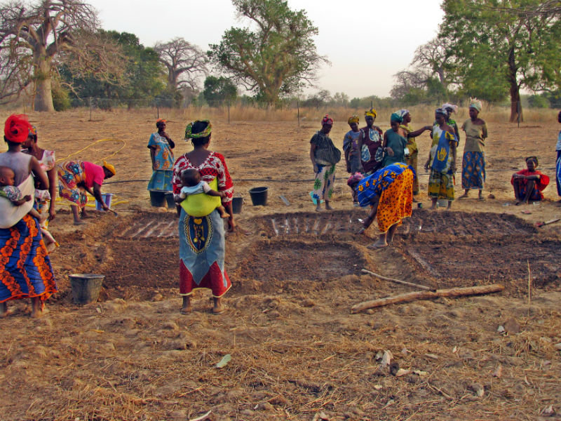 Help 30 Hungry Villages in Gao-Mali Grow Food NOW!