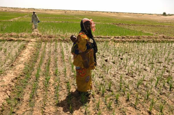 Help 30 Hungry Villages in Gao-Mali Grow Food NOW!