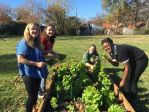 Volunteering at Beyond Housing's Community Garden